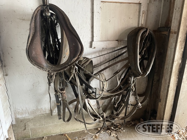 Horse harness & supplies